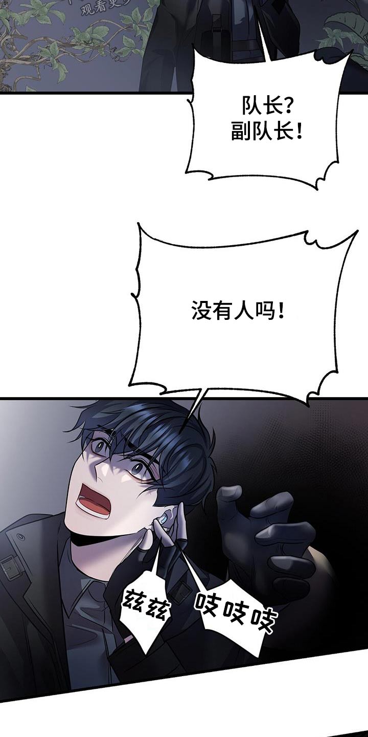 26.jpg