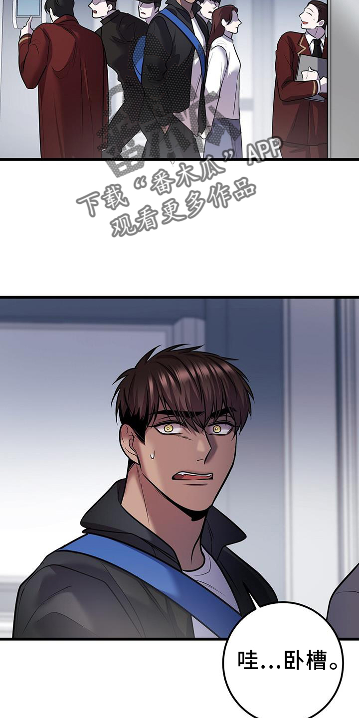 26.jpg