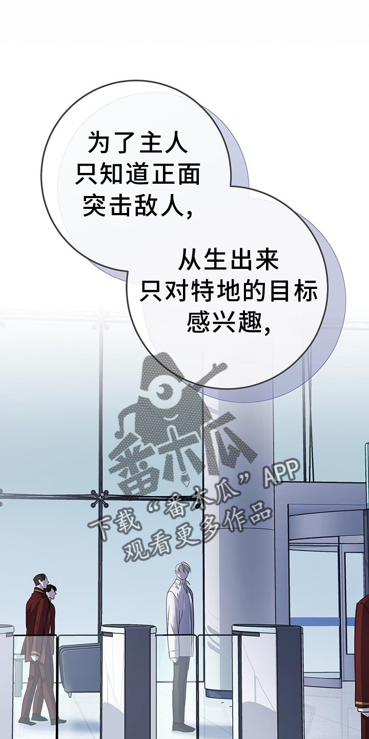 24.jpg