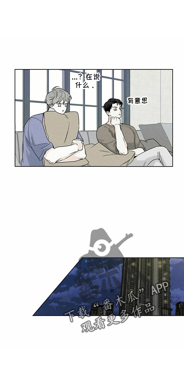 17.jpg