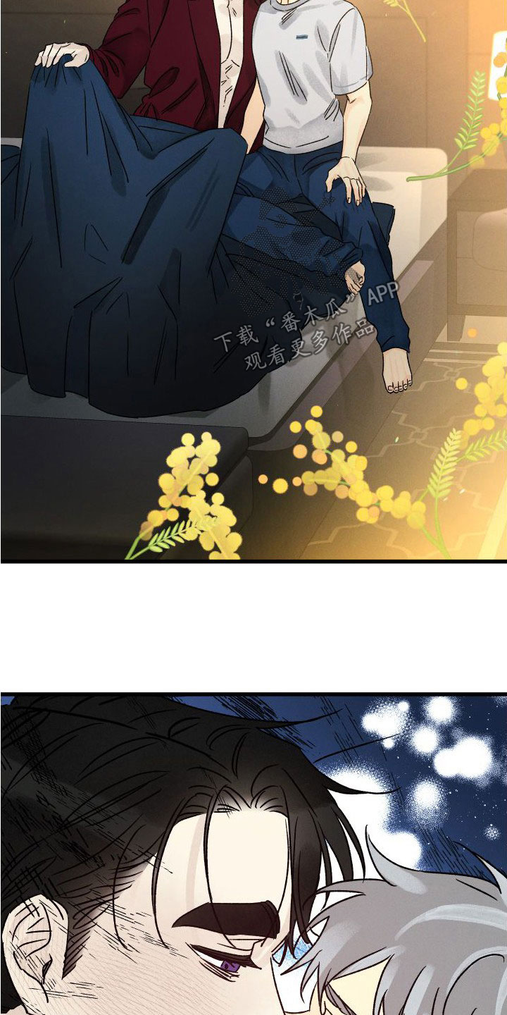 25.jpg