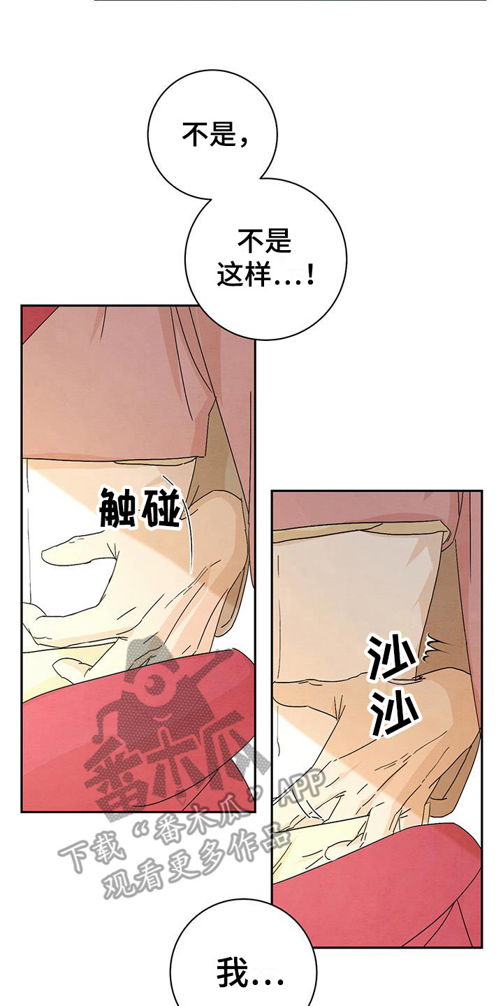 13.jpg