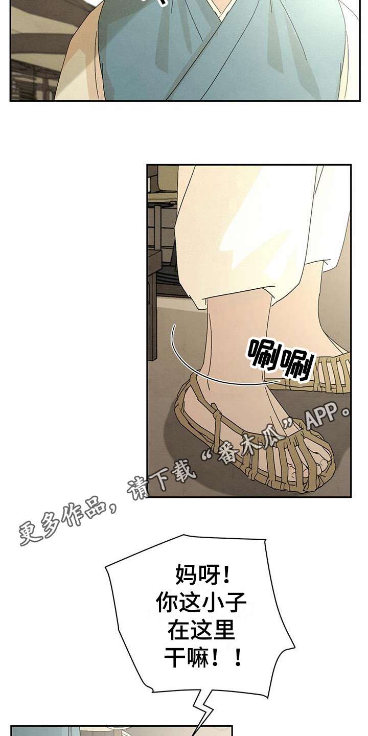 16.jpg