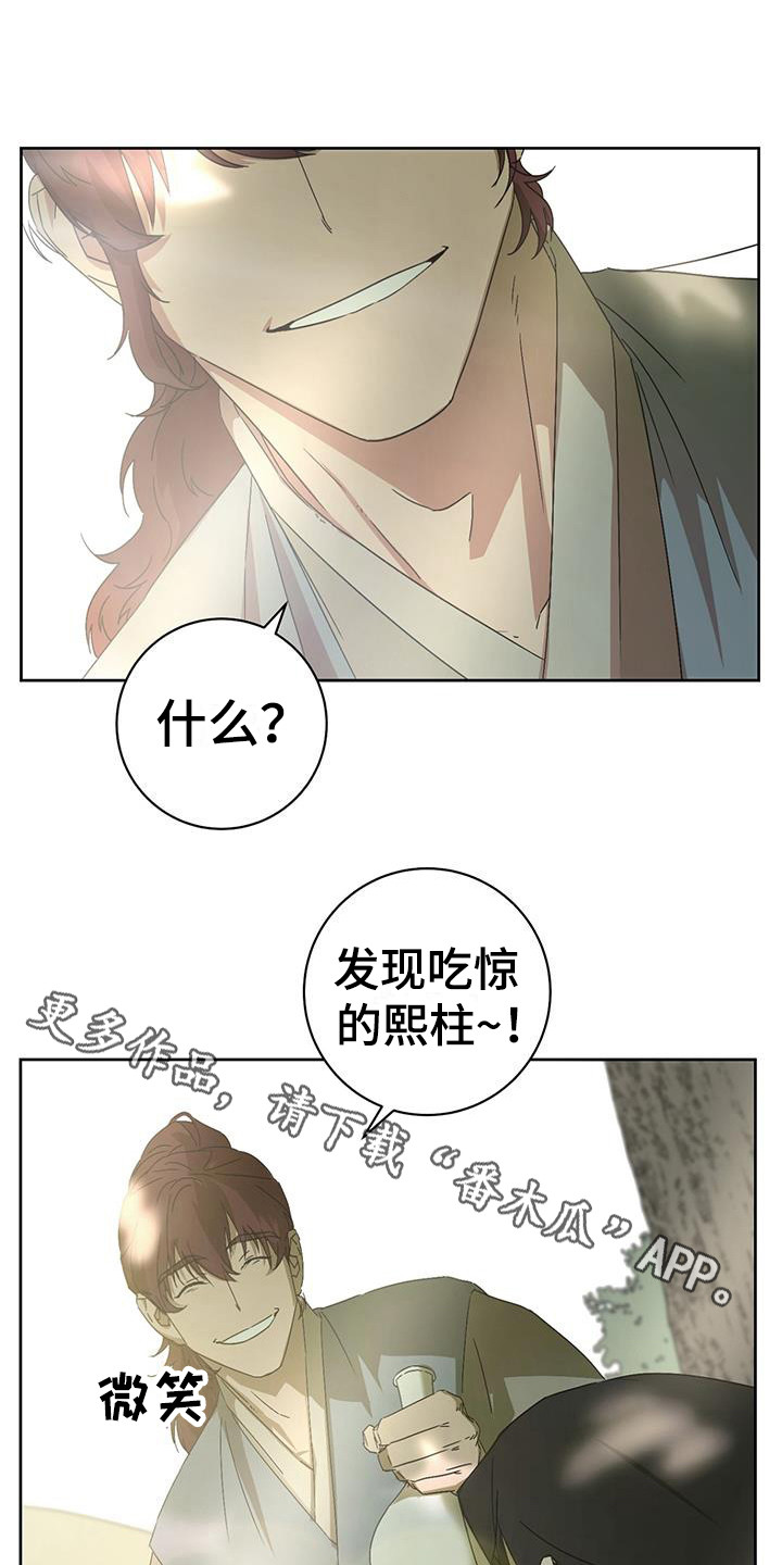 11.jpg