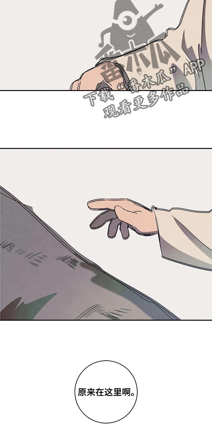 17.jpg