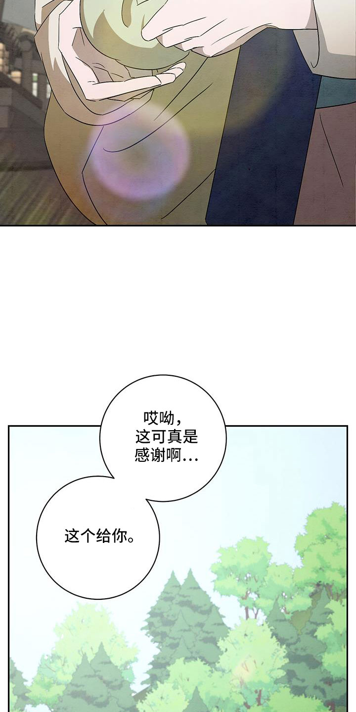 31.jpg