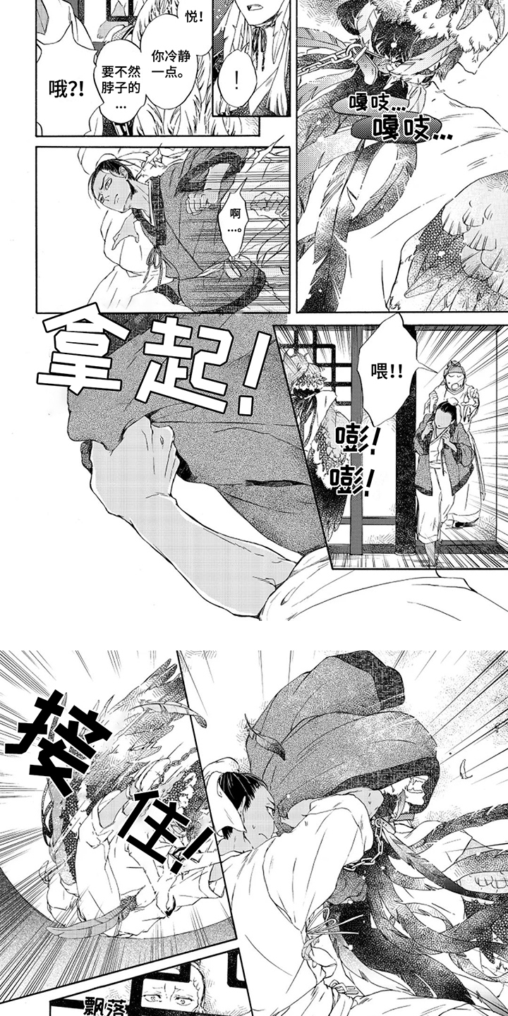4.jpg