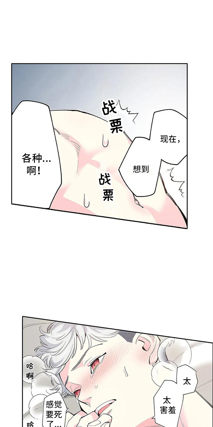 15.jpg