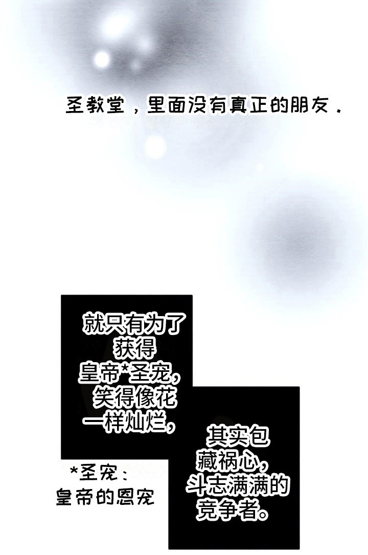 15.jpg