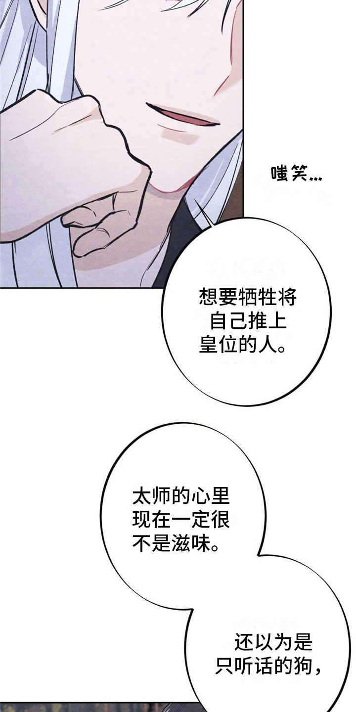 16.jpg