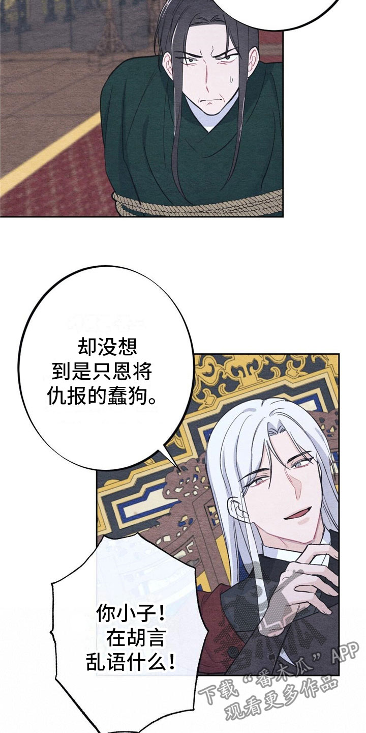 17.jpg