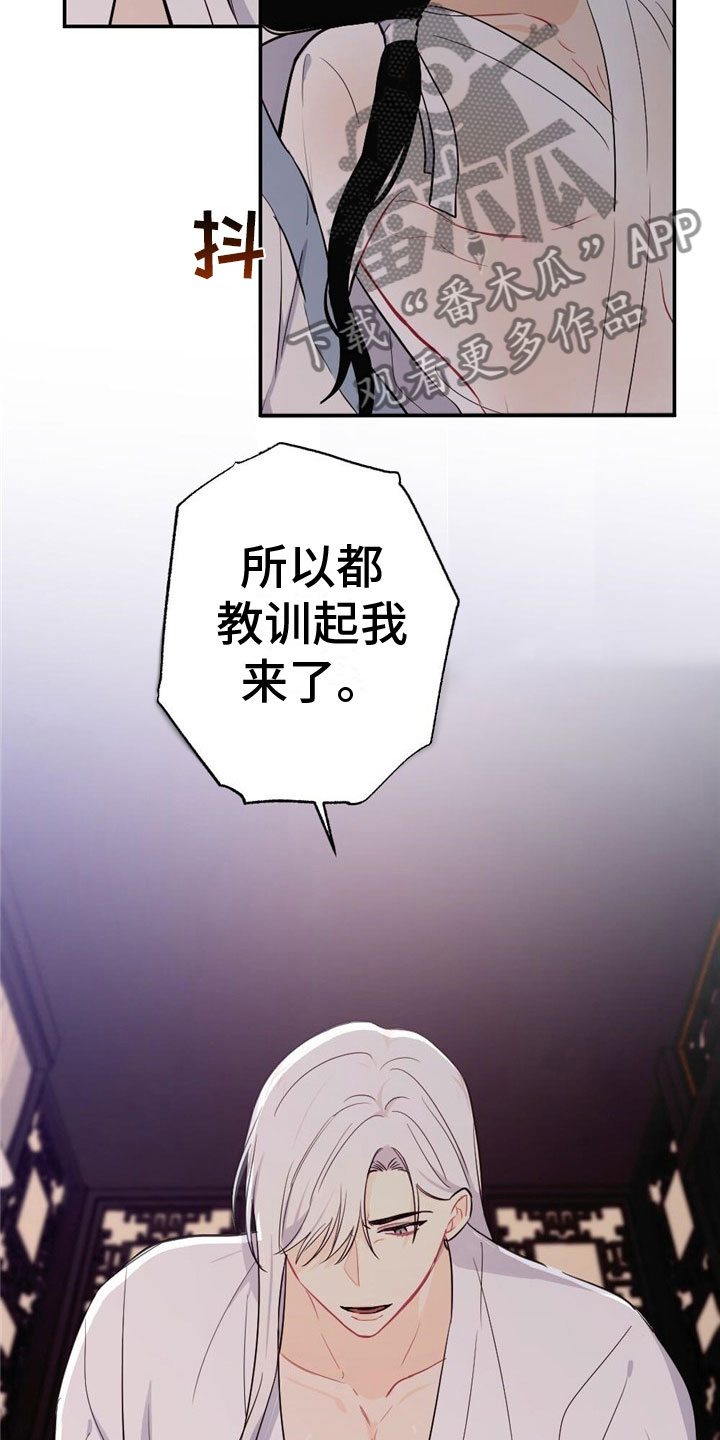 11.jpg
