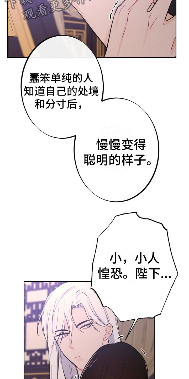 17.jpg