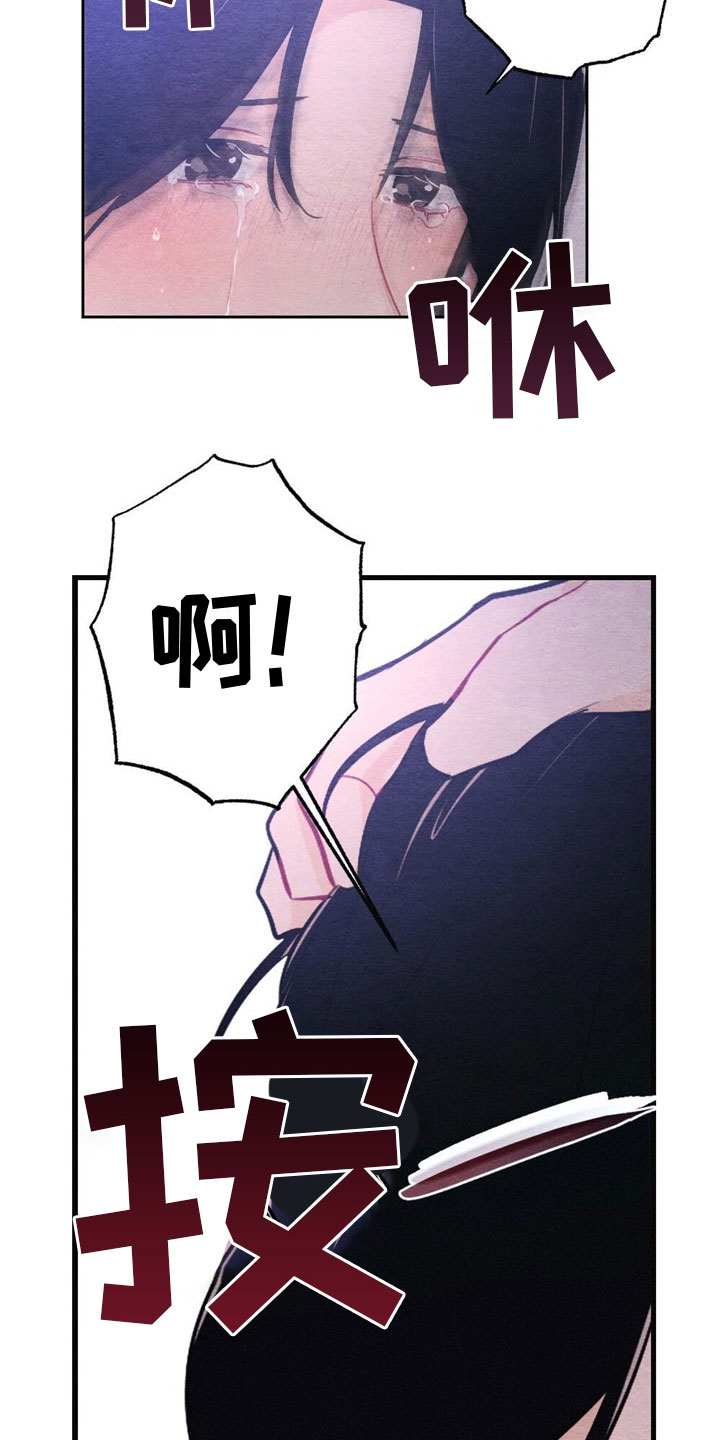 13.jpg
