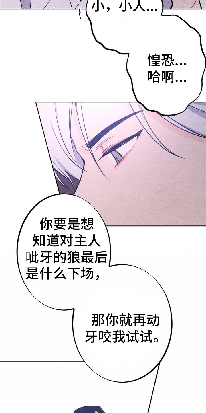 15.jpg