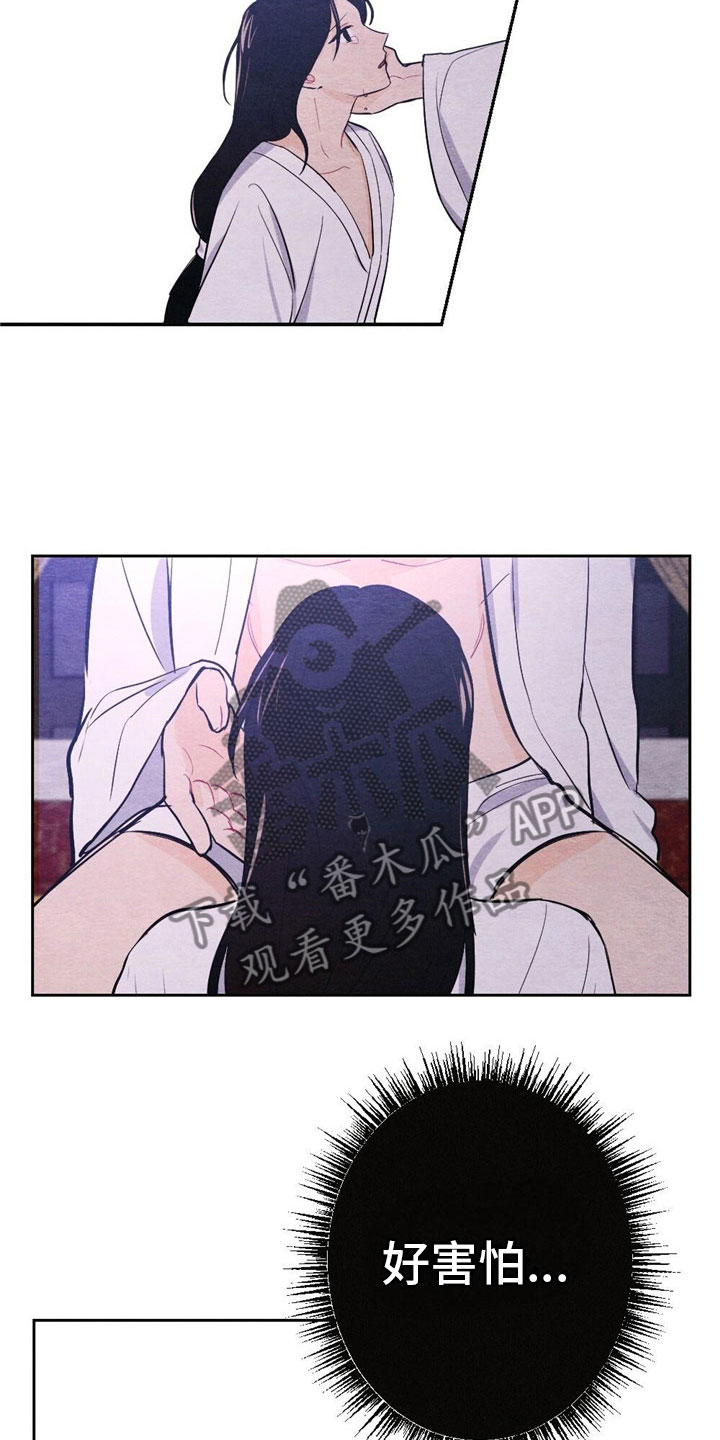 16.jpg