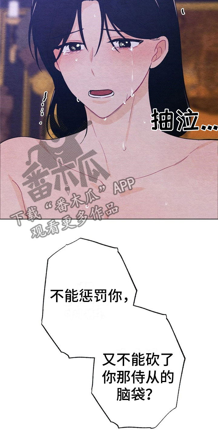 26.jpg