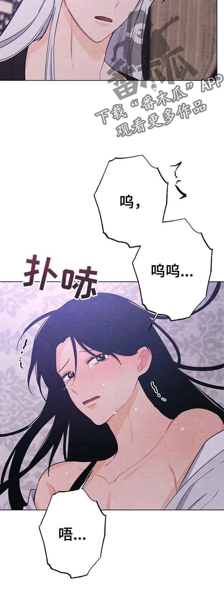 26.jpg