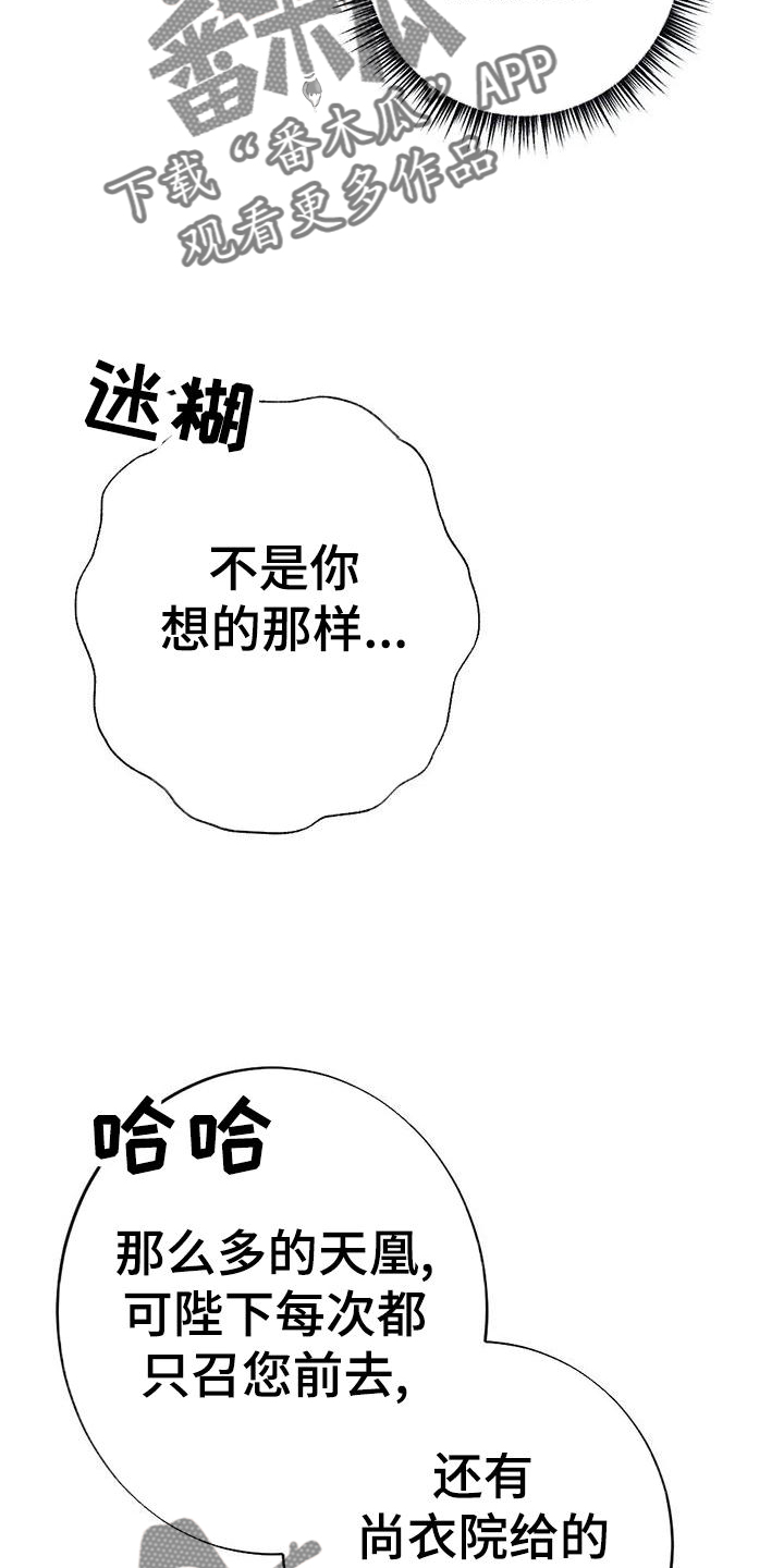 19.jpg