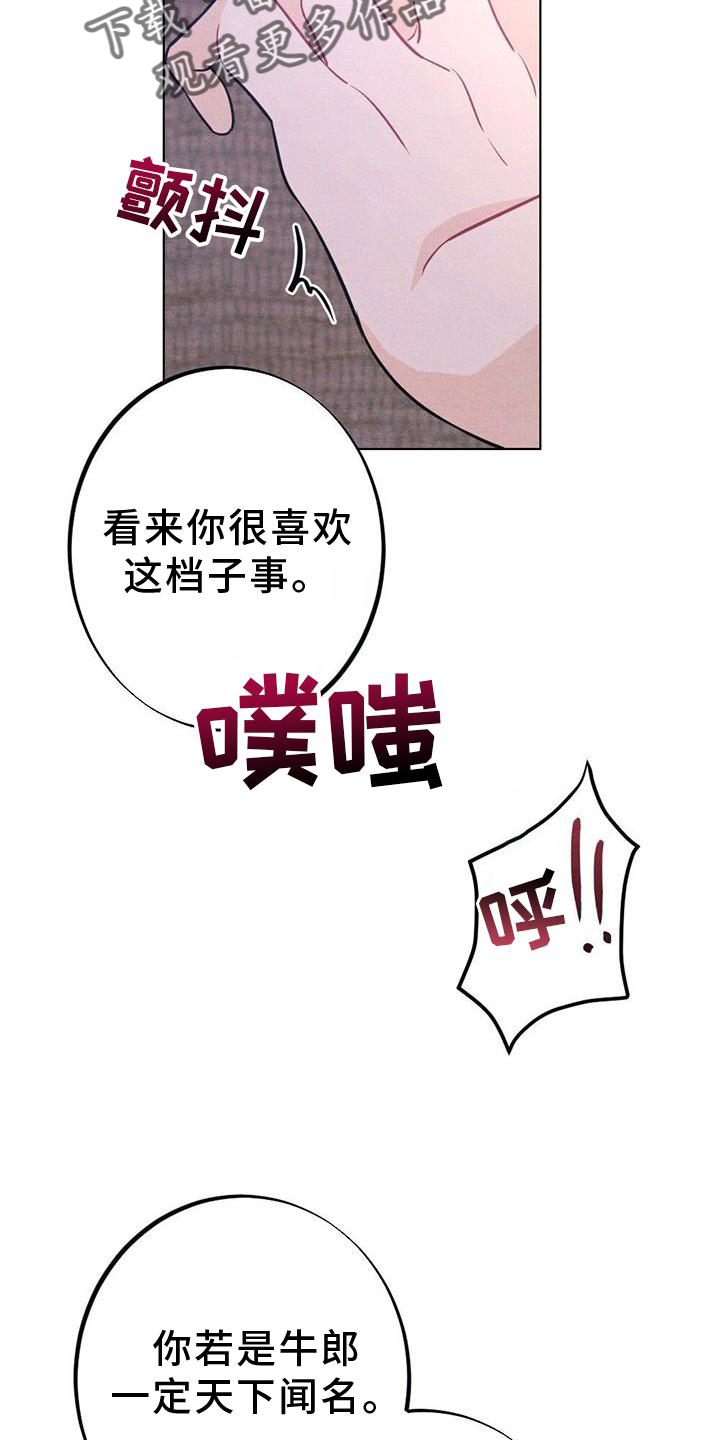 17.jpg