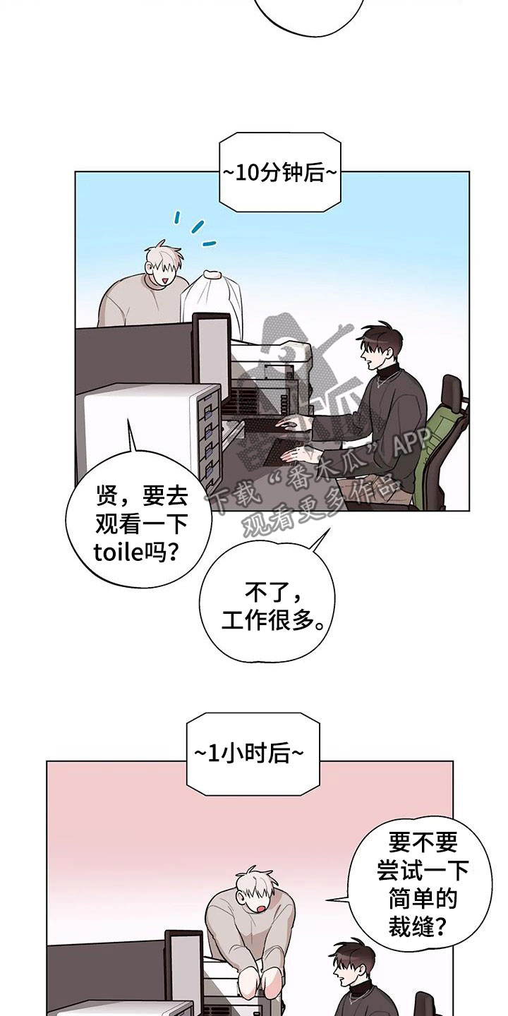 15.jpg