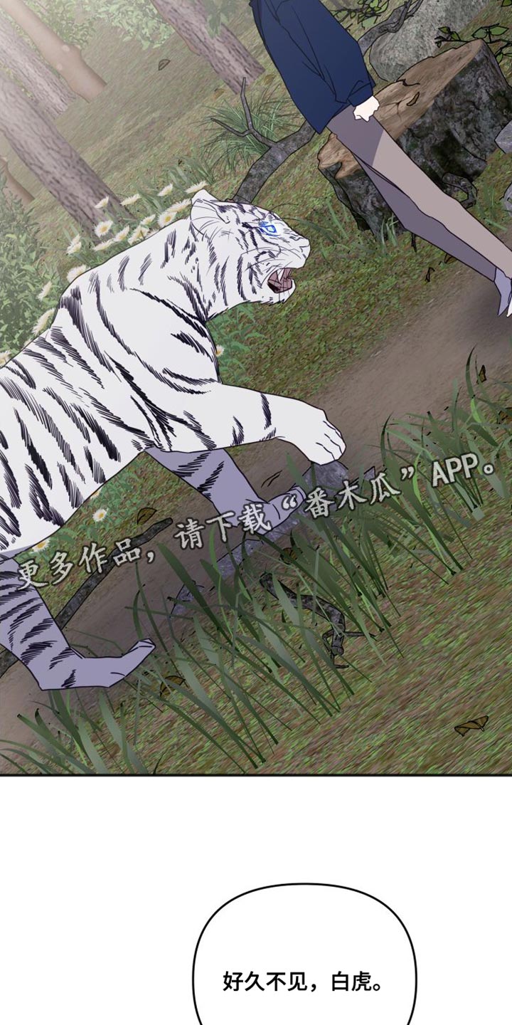 41.jpg