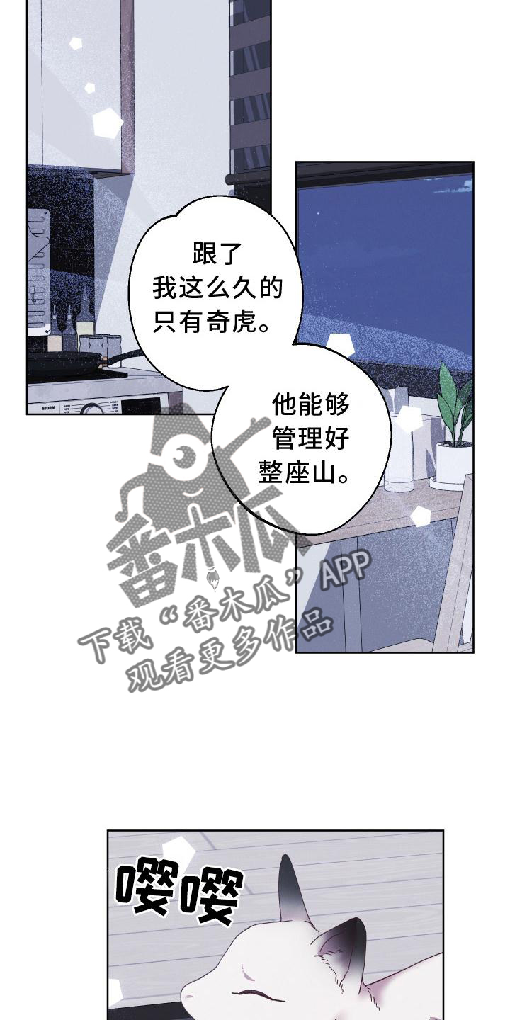 20.jpg