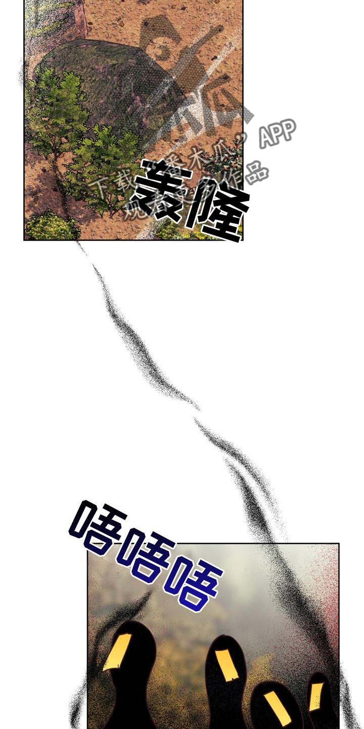 20.jpg