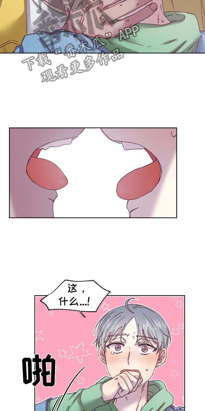 12.jpg