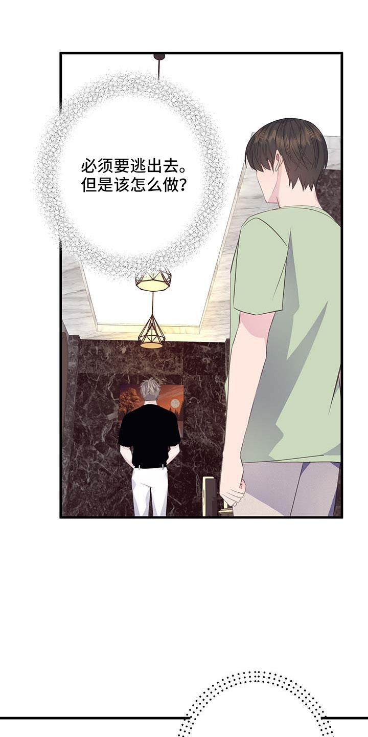 29.jpg