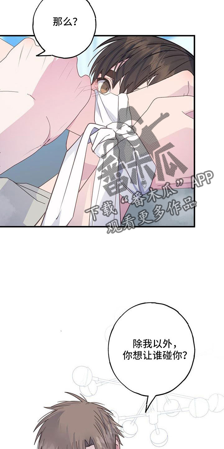 21.jpg