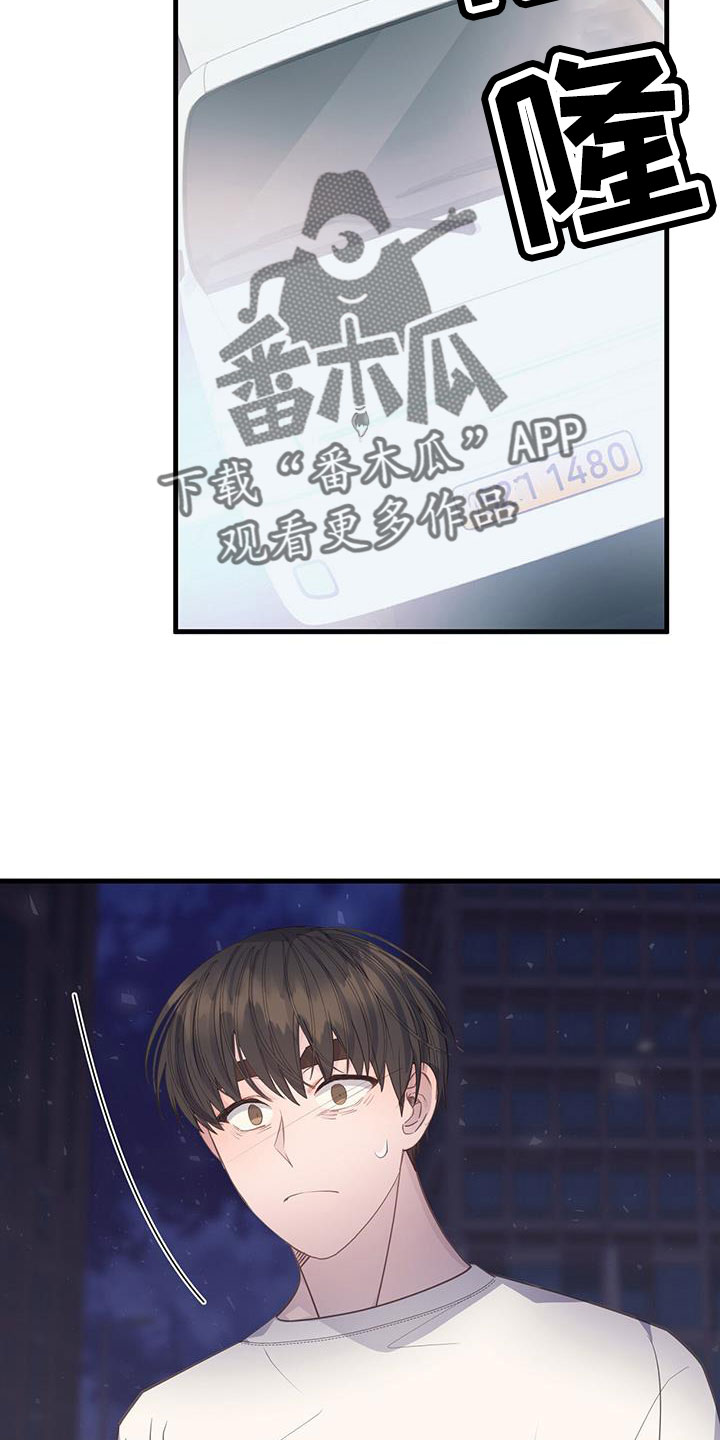 21.jpg