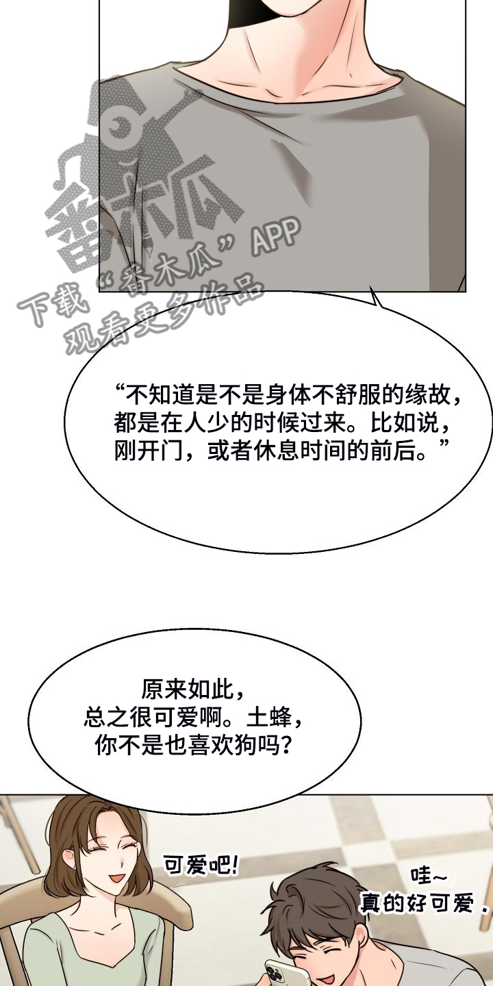 25.jpg