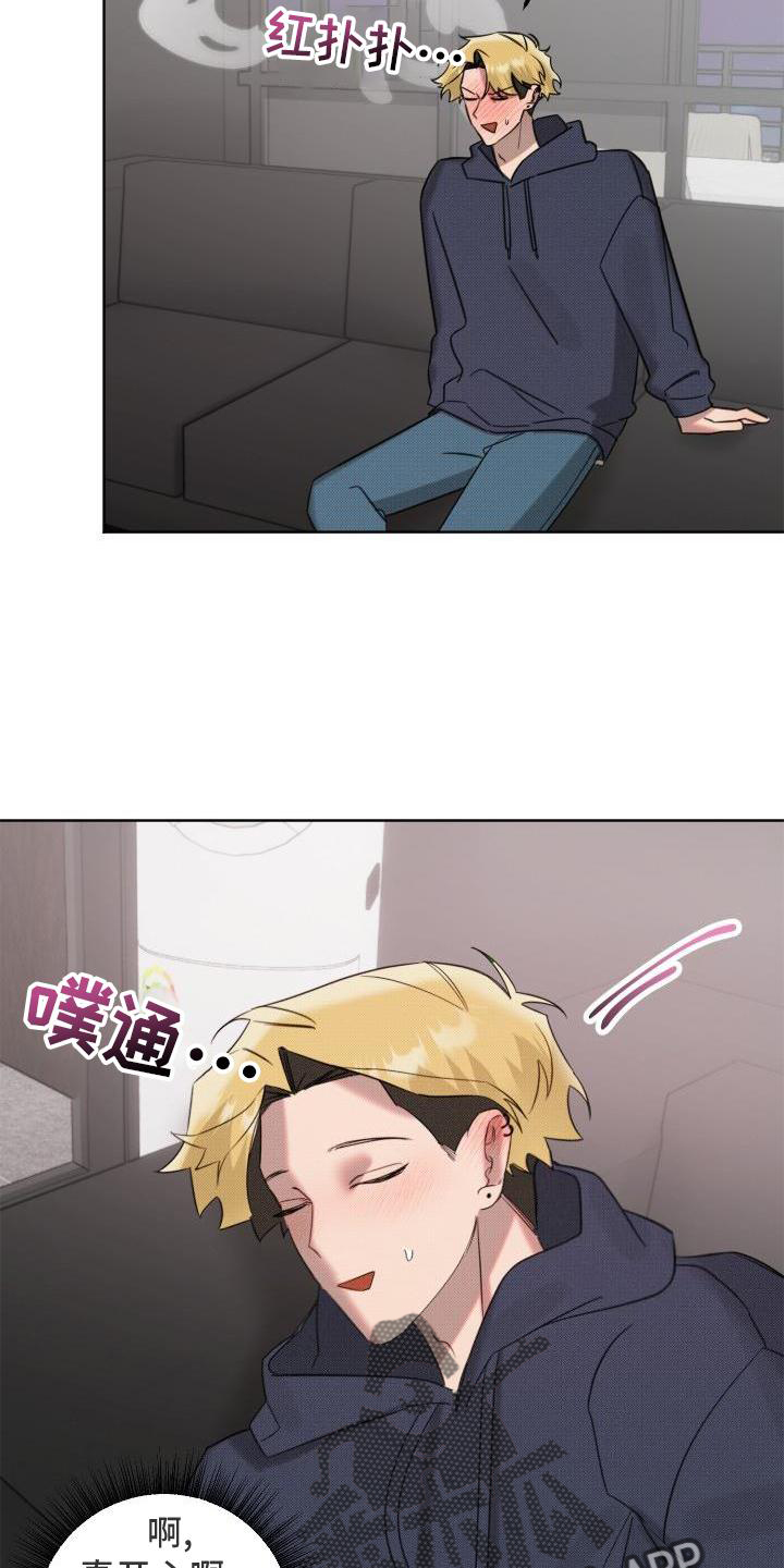 14.jpg