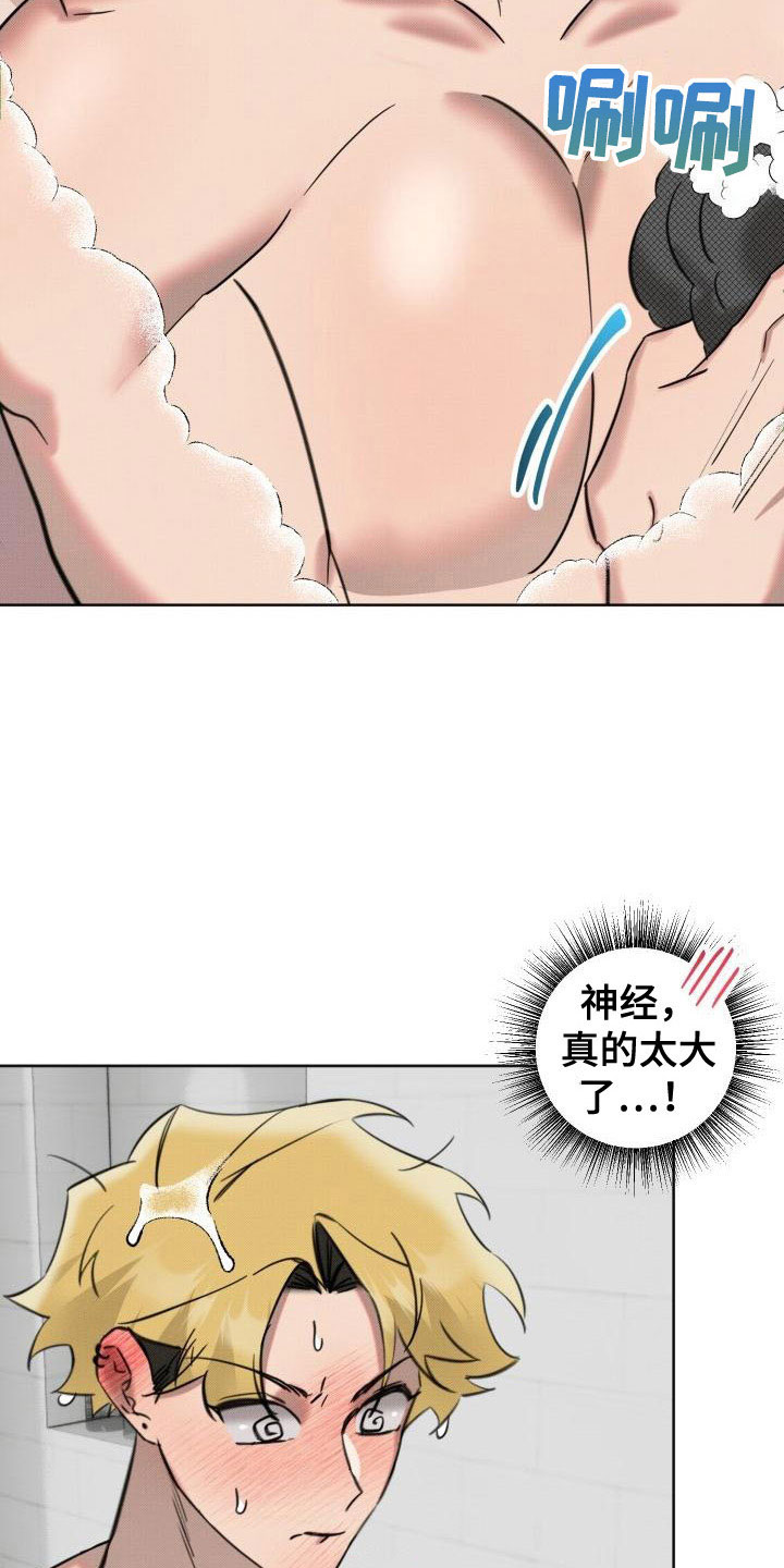 19.jpg