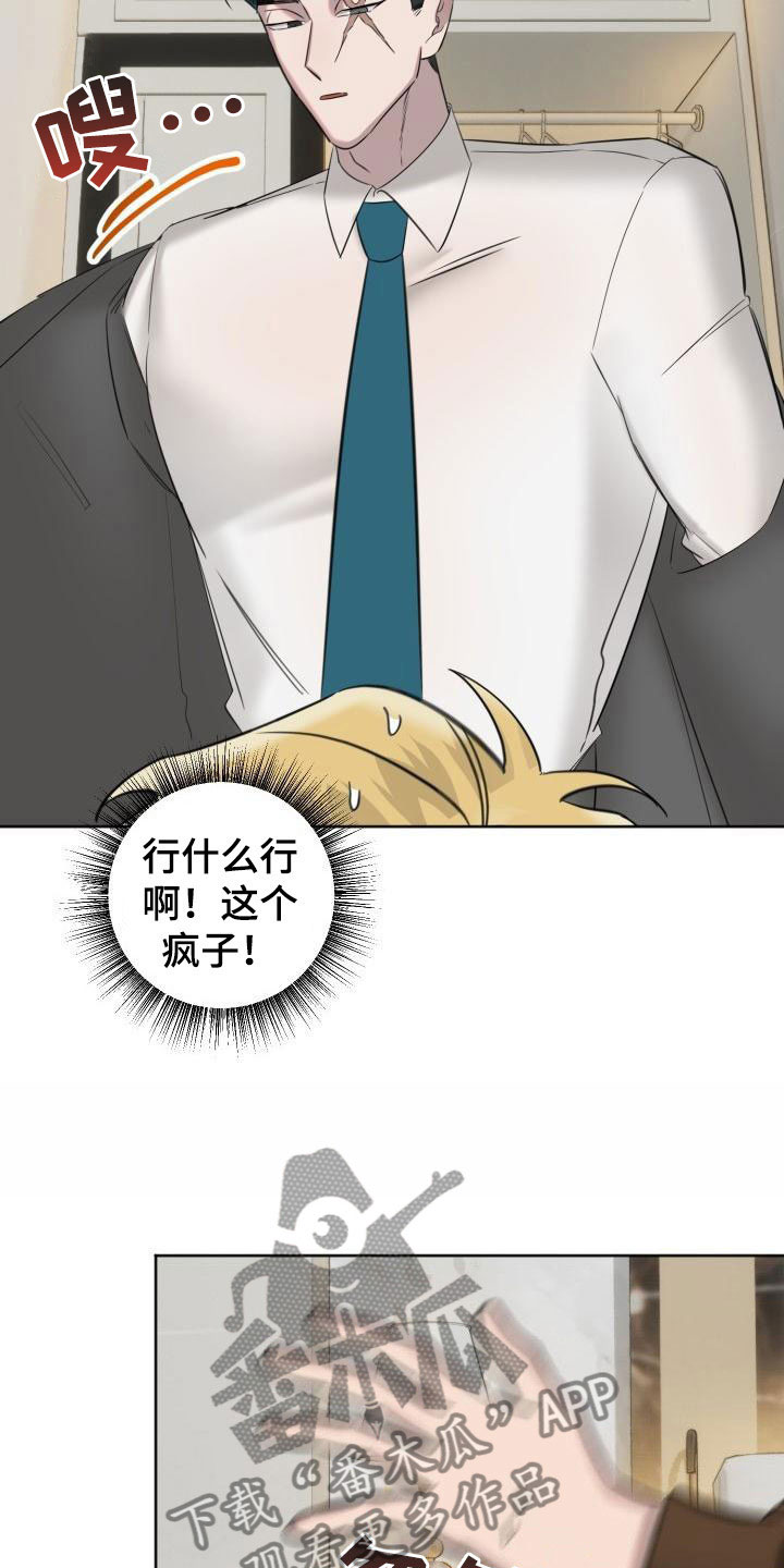 12.jpg