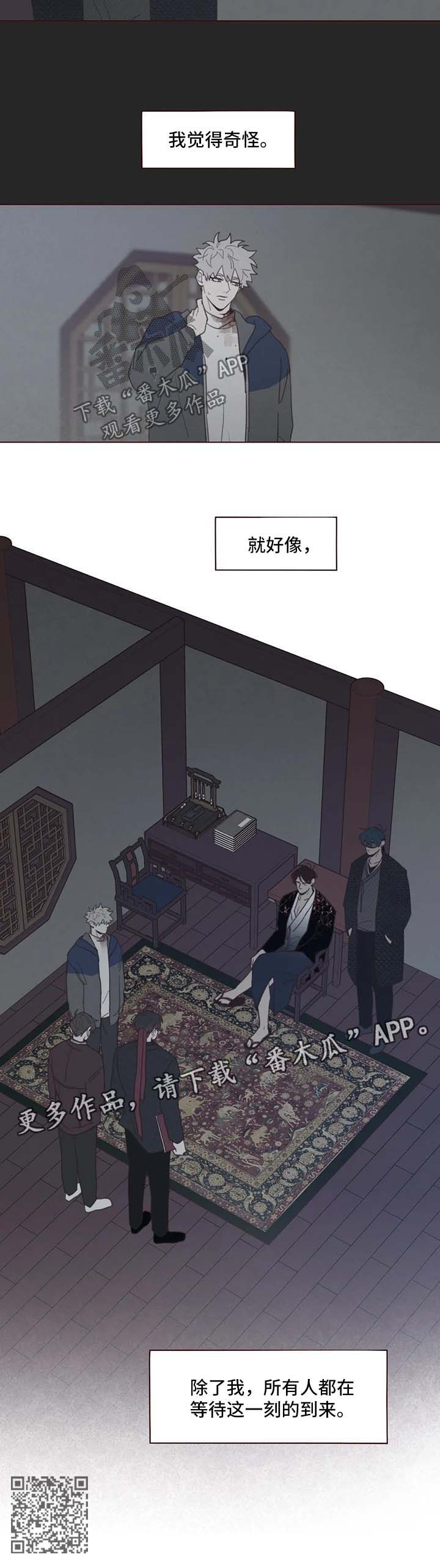 11.jpg
