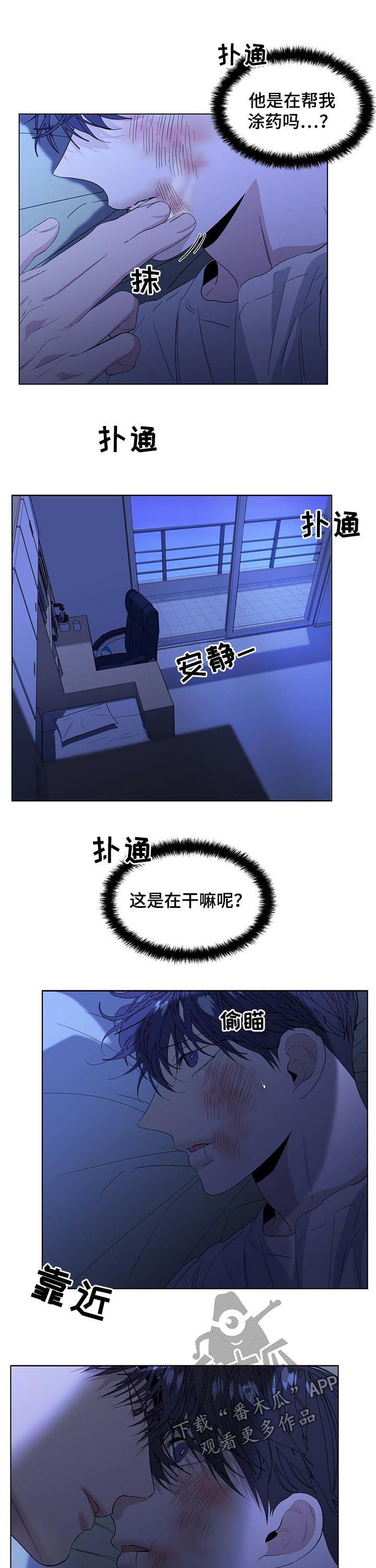 8.jpg