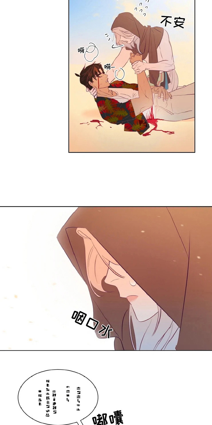 12.jpg