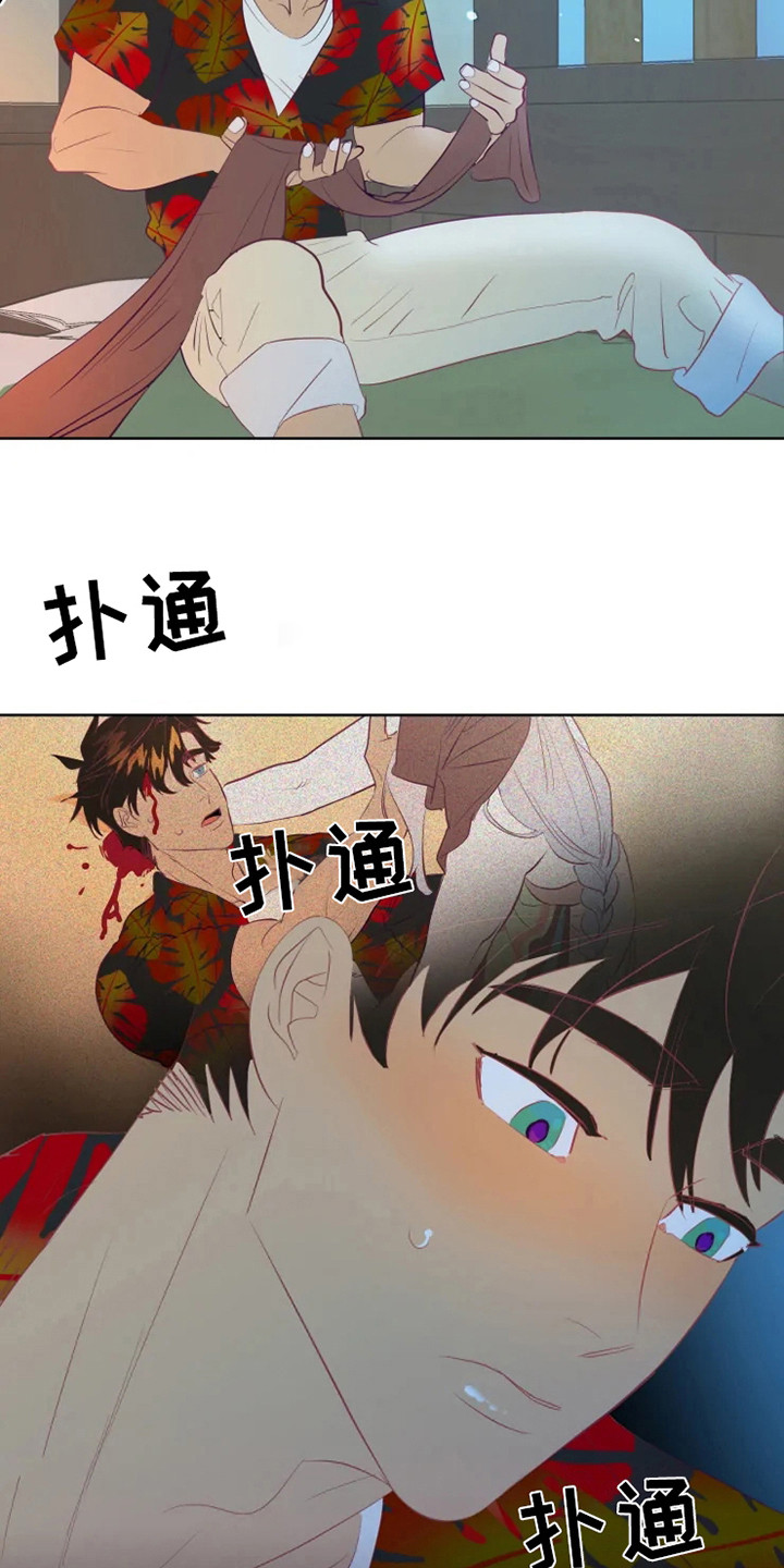 11.jpg