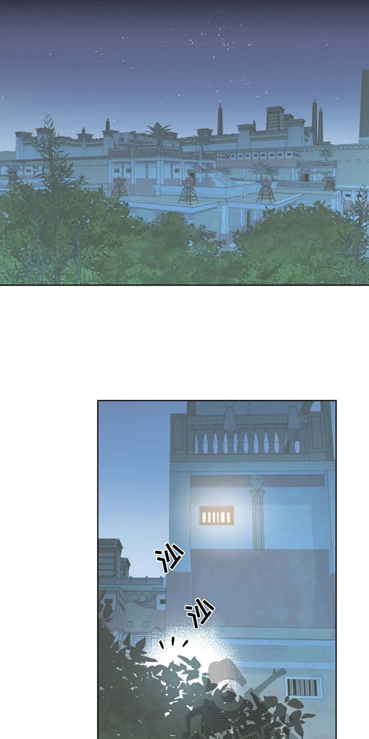 15.jpg
