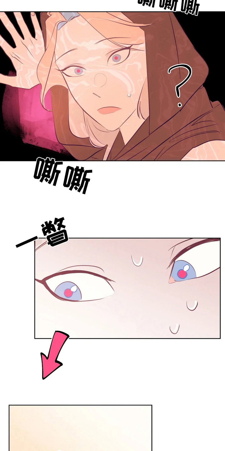 15.jpg