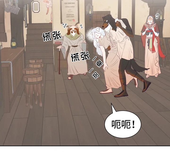21.jpg