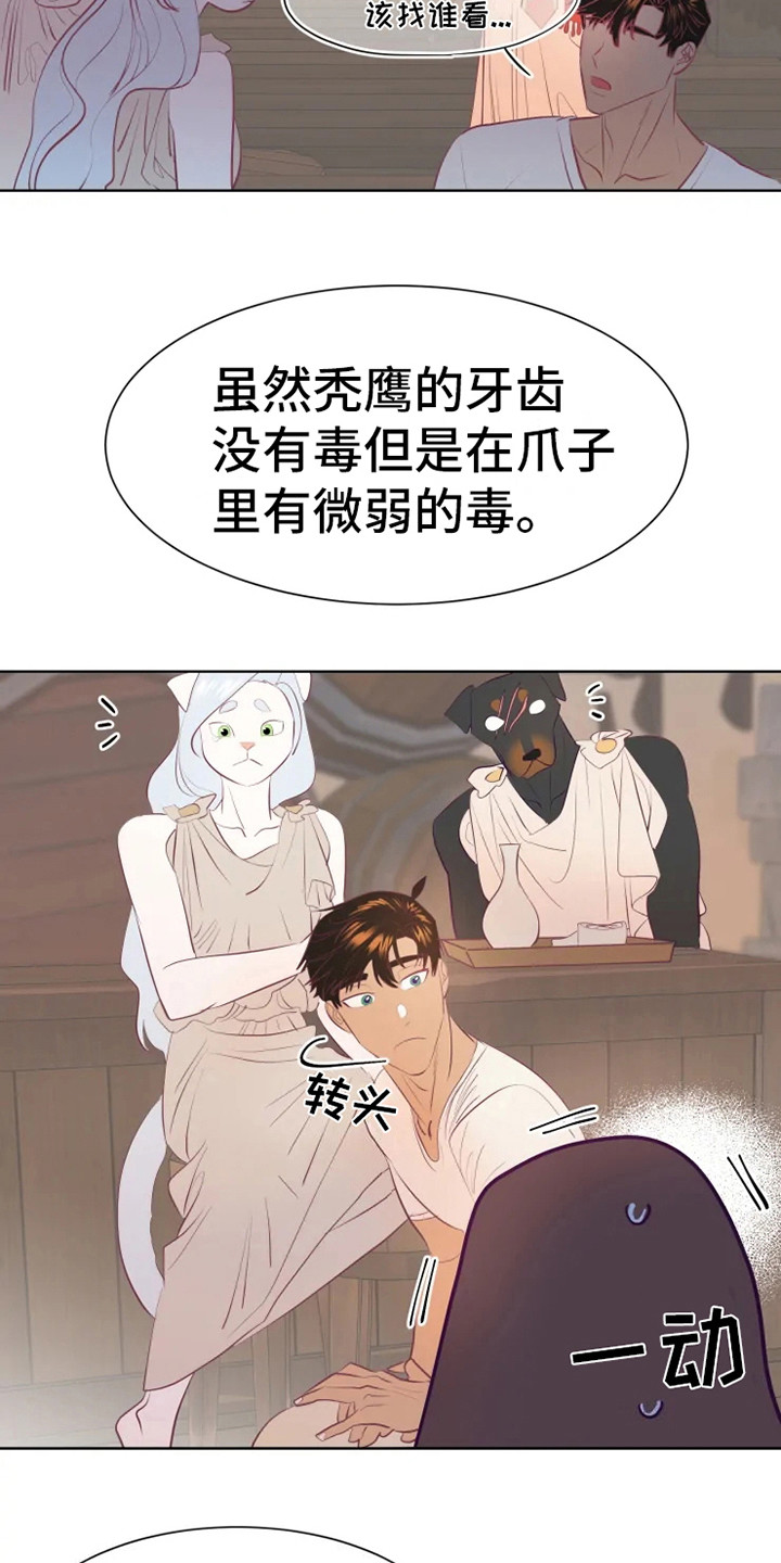 14.jpg