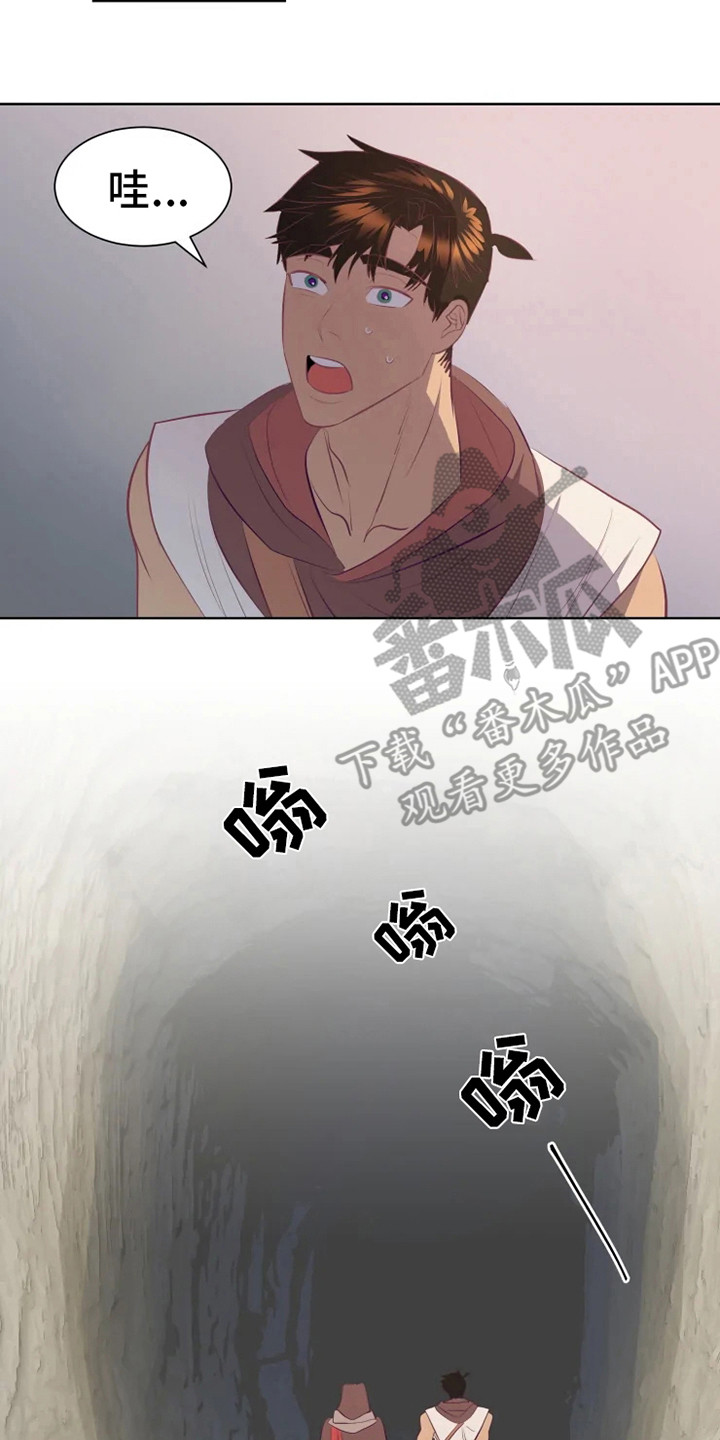15.jpg