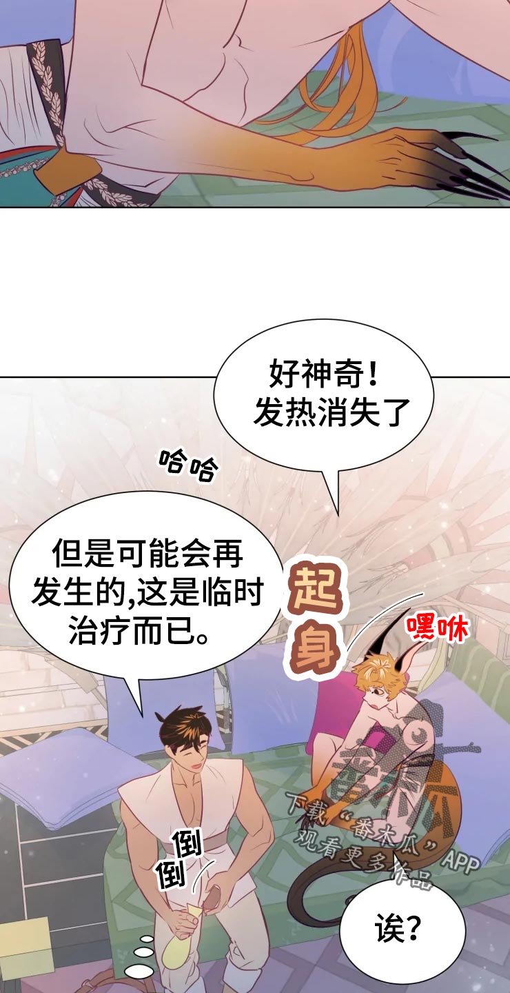 19.jpg
