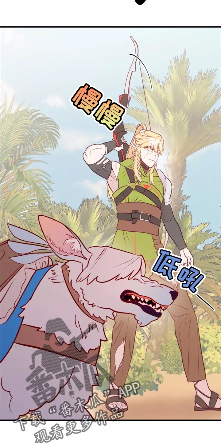 26.jpg
