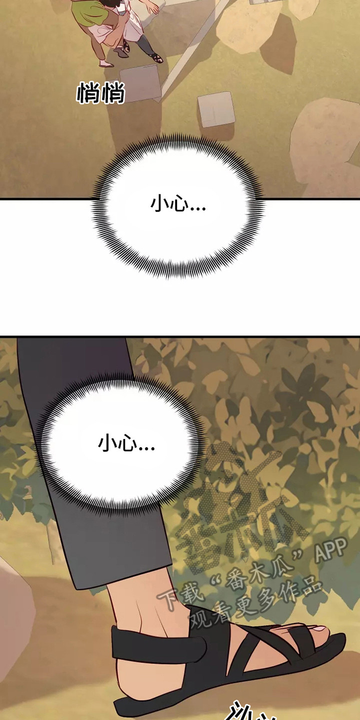24.jpg