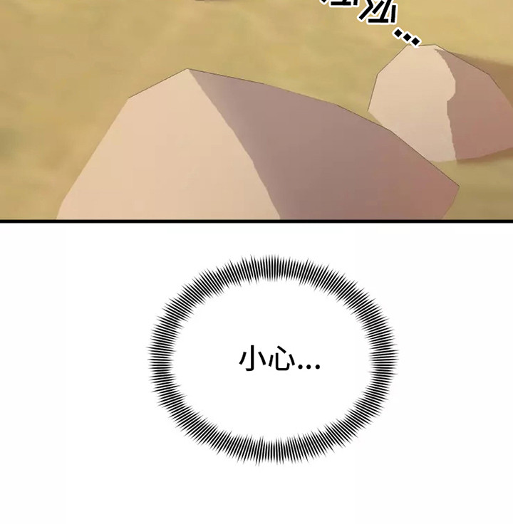 25.jpg