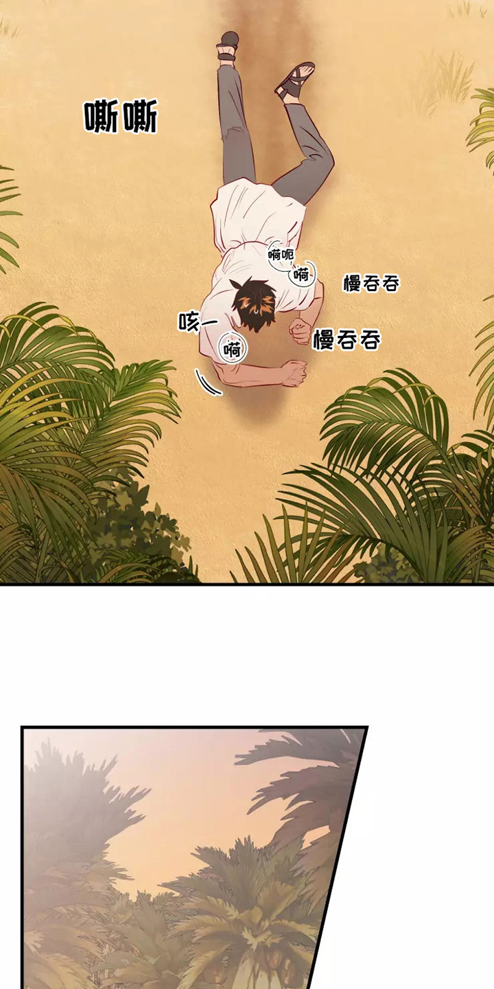 14.jpg